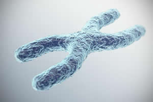genome-healing-biology-of-belief-02